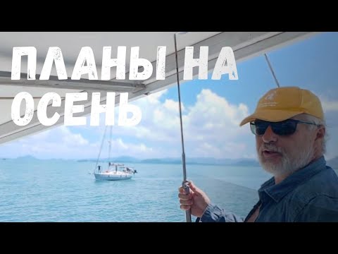 Видео: Планы на осень