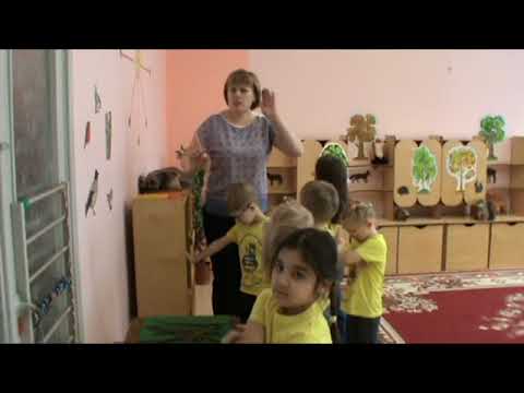 Видео: Занятие Береги природу