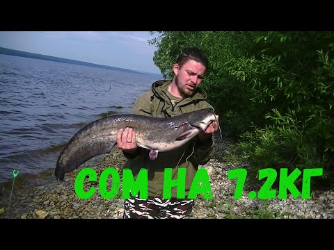 Видео: Поймали сома 2021 | Сурское водохранилище | Готовим уху в казане на костре.
