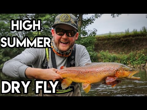 Видео: МЕСТО ПРОВЕДЕНИЯ PB! Ловля форели на сухую мушку на реке Дервент