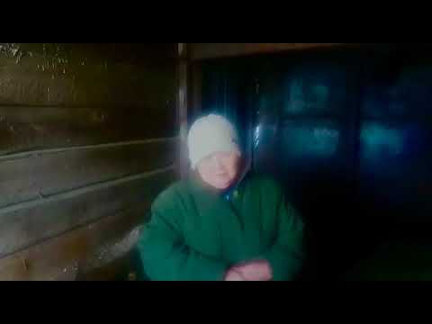 Видео: Безоарная болезнь ягнят