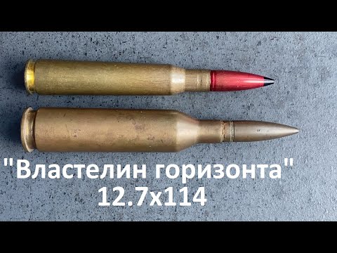 Видео: 12.7x114 Horizon's Lord (Властелин горизонта) - старинный советский патрон