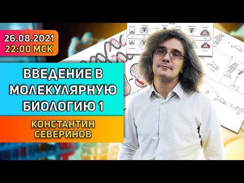 Видео: Константин Северинов. Введение в молекулярную биологию. Лекция 1: Клетки, Гены, ДНК.