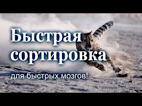 Видео: Быстрая сортировка для быстрых мозгов!