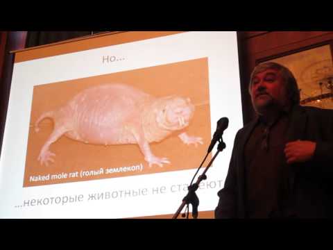 Видео: Андрей Гудков "Рак. Старение. Сенесцентные клетки". Полная версия + ответы на вопросы