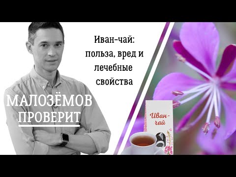 Видео: Иван-чай: так ли полезен традиционный русский напиток?