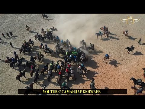Видео: Бузкаши Улоки Ипадром полный версия 4.11.2023 /Купкари Самандар Кенжаев