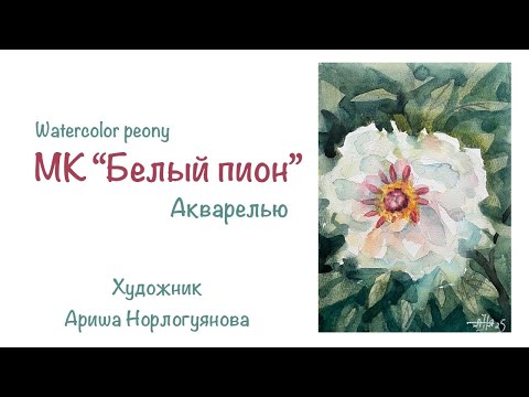 Видео: МК Белый пион акварель / Watercolor lesson peony