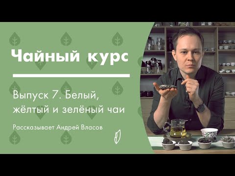 Видео: Самый нежный и редкий китайский чай, Зеленый, Жёлтый, Белый | Чайный курс от Art of Tea, лекция 7