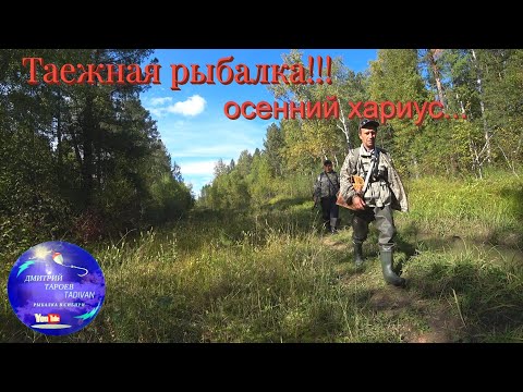 Видео: Таежная рыбалка!!! Осенний хариус...