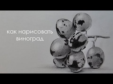 Видео: Как нарисовать виноград карандашом