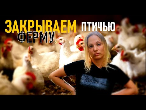 Видео: Птичья ферма закрывается. Перерабатываем мясо. Удобряем землю к сезону.