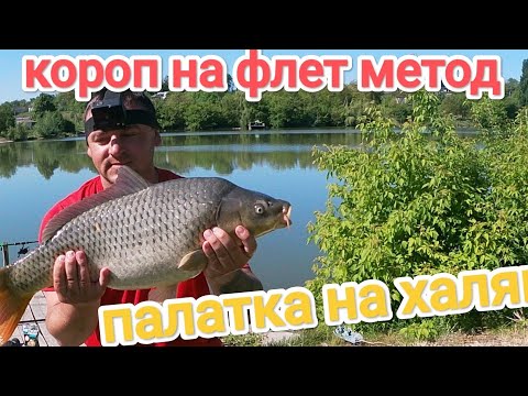 Видео: Палатка на на халяву!!!!!!! КОРОП з під корча на ФЛЕТ метод....