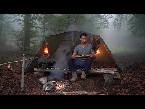 Видео: Лагерь Бушкрафт в сильном тумане с моей собакой, Приготовление пищи на костре, Расслабляющее видео в