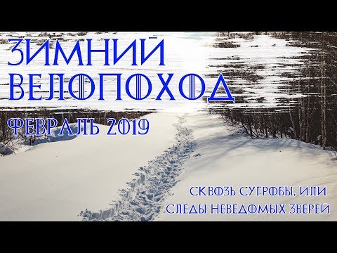 Видео: ЗИМНИЙ ВЕЛОПОХОД. Февраль 20!9.