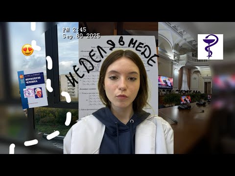 Видео: как учится студент меда|неделя в медицинском