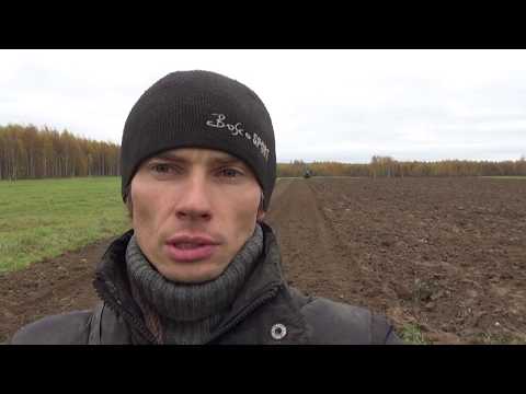 Видео: Подготавливаем землю и сажаем озимый чеснок