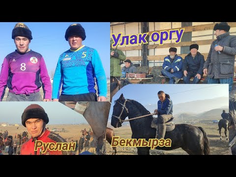 Видео: Курсан байдын улагы ынтымак айылы