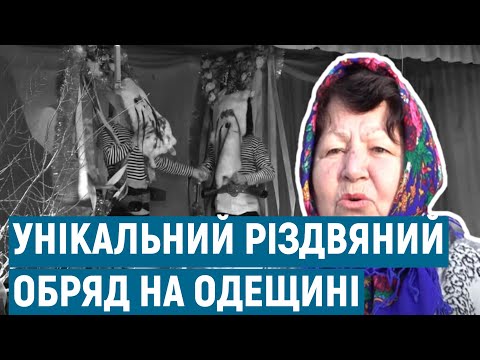 Видео: Різдвяний обряд Мошул в селі Орлівка | Каса марє