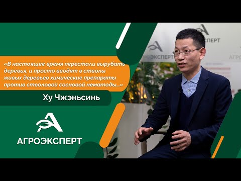 Видео: Агроэксперт - Ху Чжэньсинь