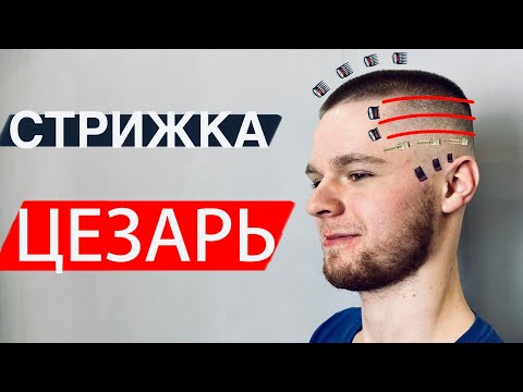 Видео: Стрижка ЦЕЗАРЬ мужская как стричь / Самая популярная стрижка 2020 / Стрижка бокс