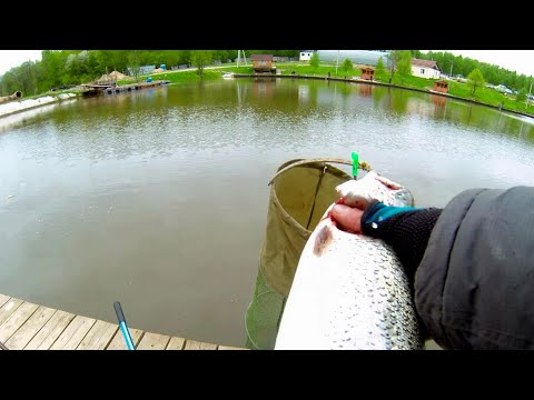 Видео: Сезон ловли форели закрыл) РК "ПОСЕЙДОН"