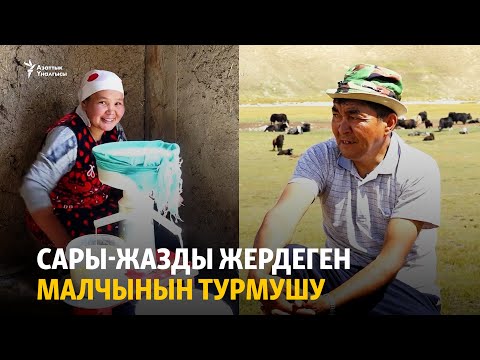 Видео: Сары-Жазды жердеген малчынын турмушу