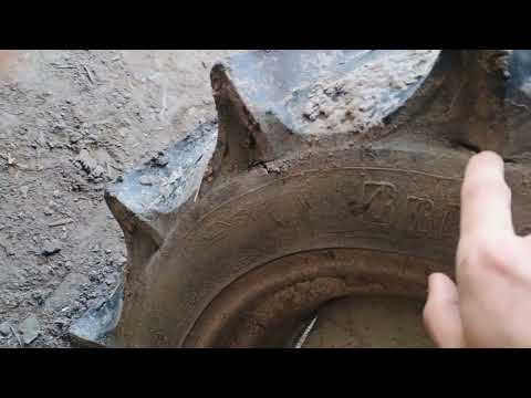 Видео: 7 квітня 2024 р.