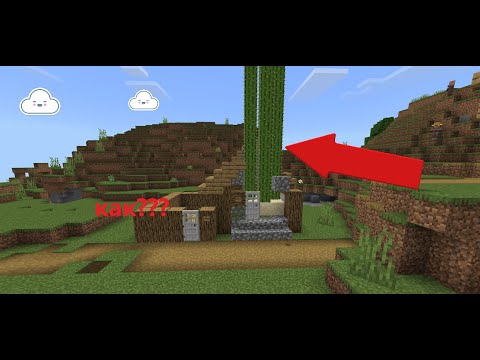 Видео: У МЕНЯ ВЫРОС КАКТУС ГИГАНТ В МАЙНКРАФТЕ