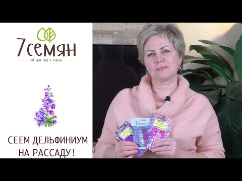 Видео: САМОЕ ВРЕМЯ ПОСЕЯТЬ ДЕЛЬФИНИУМ НА РАССАДУ!