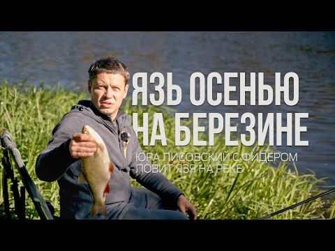 Видео: Осенняя рыбалка на Березине 🎣 Трофейный язь и фидерные секреты Юры Лисовского