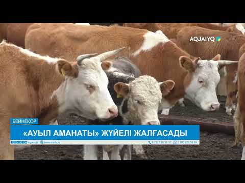 Видео: «АУЫЛ АМАНАТЫ» ЖҮЙЕЛІ ЖАЛҒАСАДЫ