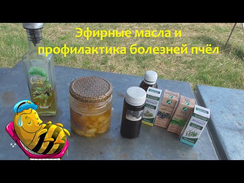 Видео: Эфирные масла и профилактика болезней пчёл