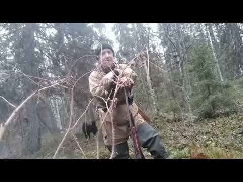 Видео: Удачная охота