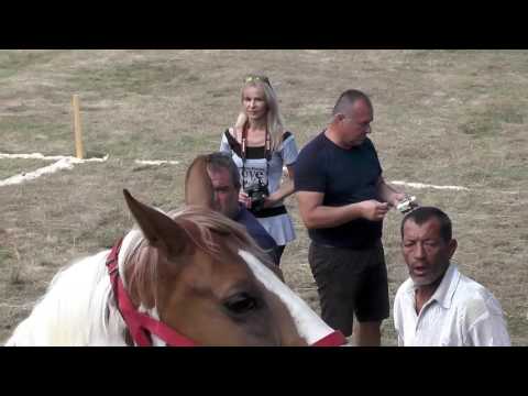 Видео: Тежковози- с. Нова махала 21.08.2016 г.