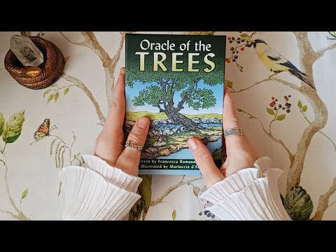 Видео: Оракул Деревьев - недооценённая колода! Обзор с описанием символики