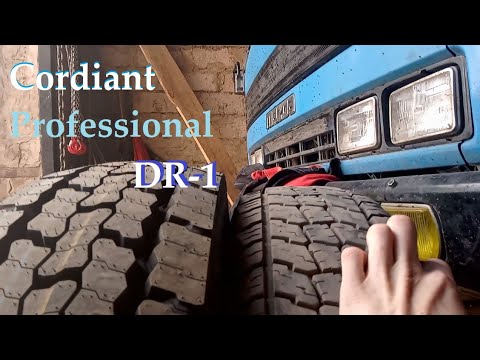 Видео: Купил шины Cordiant Professional DR -1. 215 75R17.5