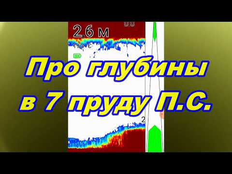 Видео: Глубины в 7 пруду. Парка Покровское-Стрешнево. 25.05.2025