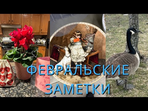 Видео: Февральские зарисовки