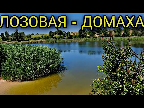 Видео: Дорога с центра Лозовой на Домаху 22.06.2023