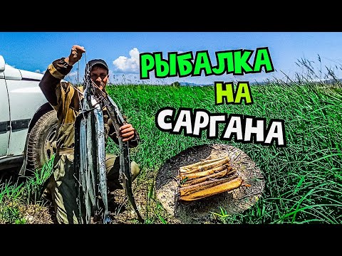 Видео: ЛОВЛЯ САРГАНА. БЮДЖЕТНАЯ СНАСТЬ НА САРГАНА. САРГАН ГОРЯЧЕГО КОПЧЕНИЯ.   #жекарыболов #ловлясаргана