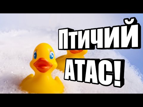 Видео: УТИНЫЙ БЕСПРЕДЕЛ//Duck Warfare