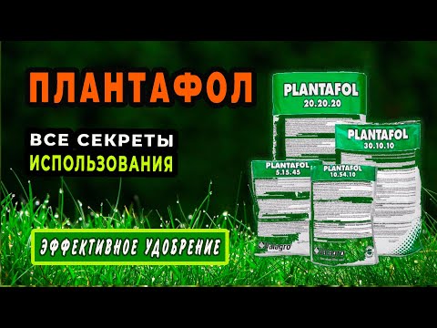 Видео: Плантафол — эффективное итальянское удобрение. Когда, какой и как применять?