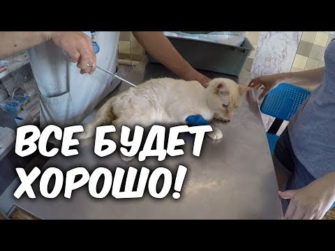 Видео: История из жизни. Все с ним будет хорошо!