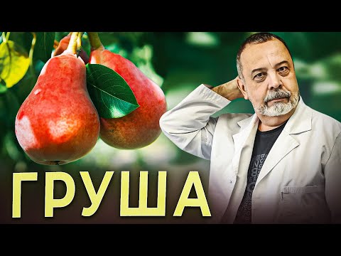 Видео: КОРОЛЕВА ФРУКТОВ - ГРУША Чем полезна груша. Состав и лечебный эффект груш. Груша при диабете.