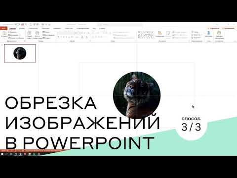 Видео: Обрезка изображений в PowerPoint [3/3]