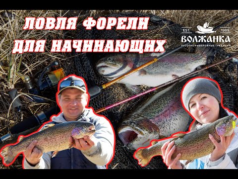 Видео: Ловля форели для начинающих