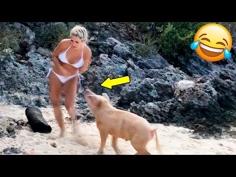 Видео: Я РЖАЛ ДО СЛЕЗ😂 15 Минут ОТБОРНЫХ ПРИКОЛОВ 2024 Смешные видео - Лучшие ПРИКОЛЫ #23