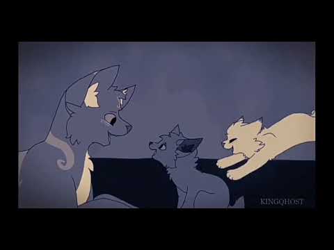 Видео: 🐾 КОТЫ ВОИТЕЛИ 🐾 СИНЯЯ ЗВЕЗДА И БЕЛОГРИВКА "Я сошла с ума"