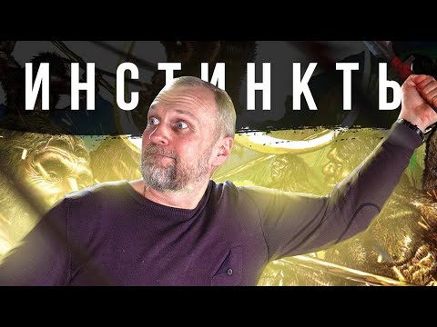 Видео: ЕСТЬ ЛИ ИНСТИНКТЫ У ЧЕЛОВЕКА?